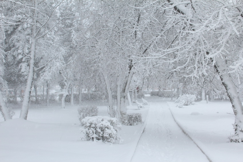 Снег, снег кружится, белая вся улица!